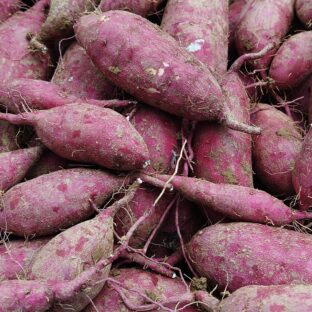 さつま芋(紅はるか)5㎏